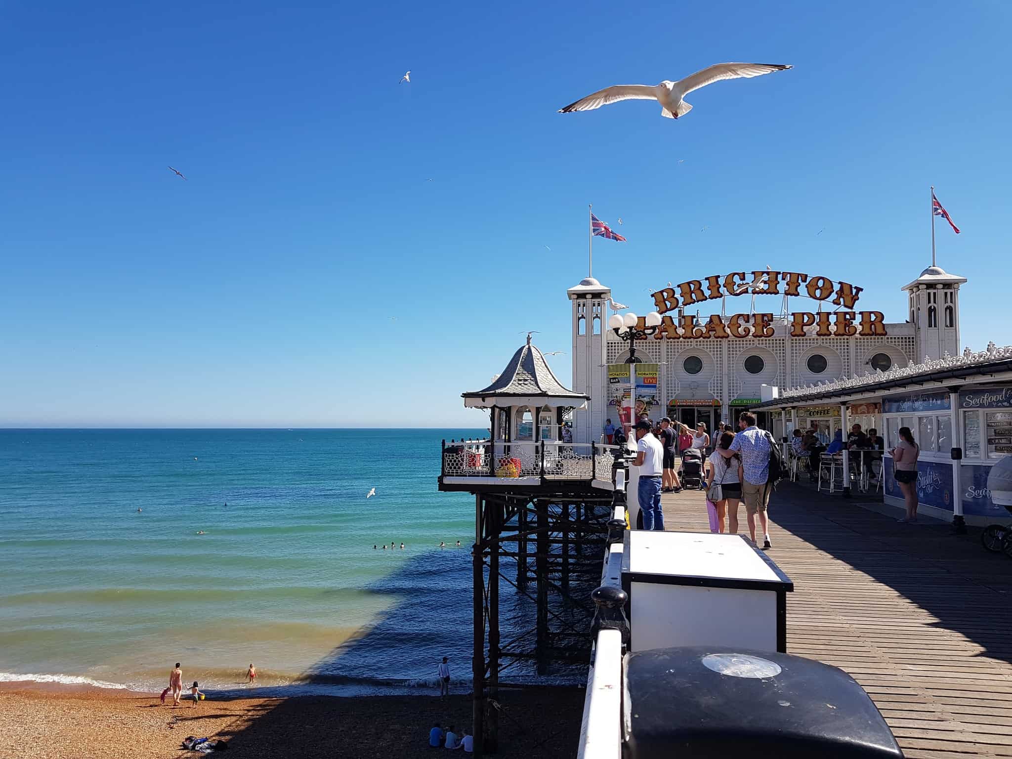 visit brighton Pic page 1